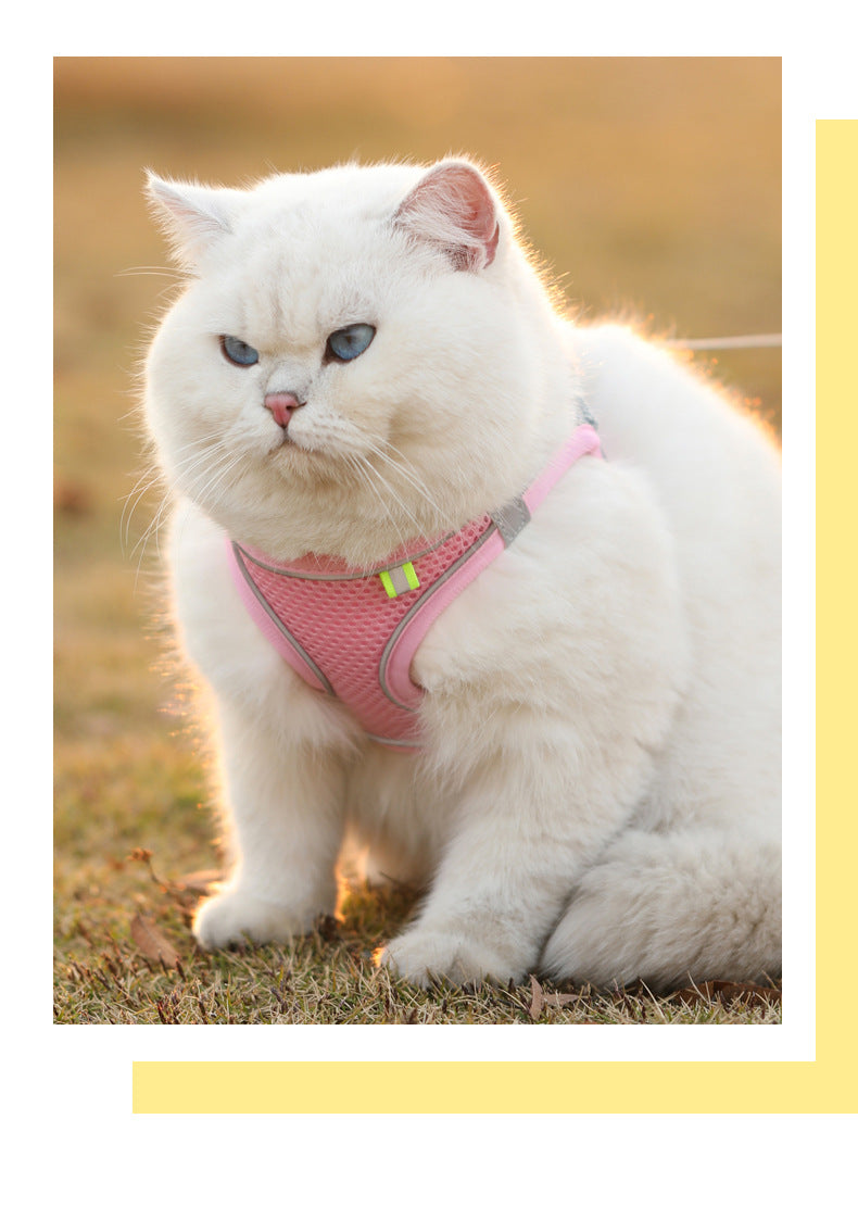 Reflective Breathable Pet Harness & Leash Set