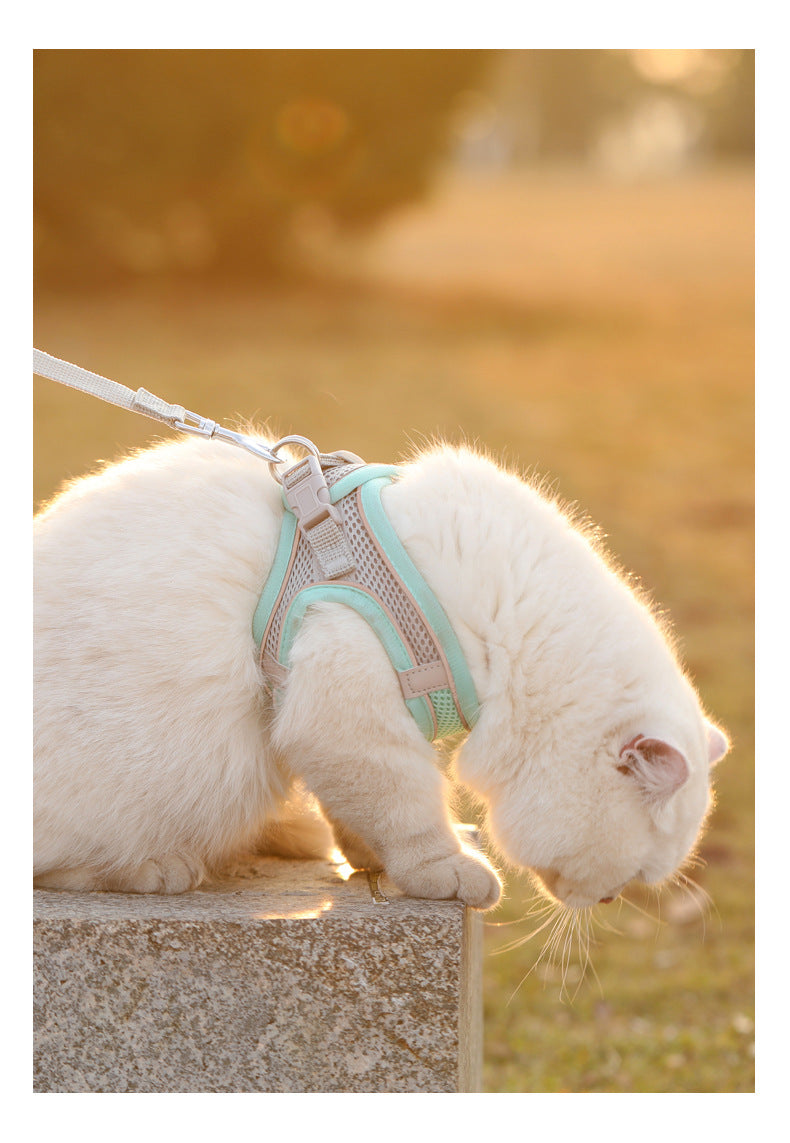 Reflective Breathable Pet Harness & Leash Set