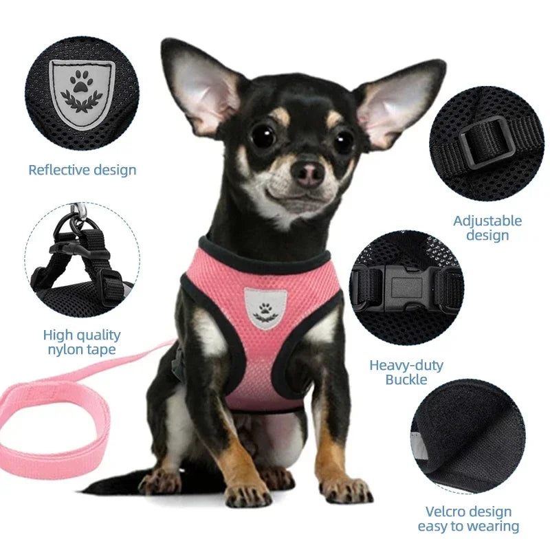 Adjustable Mesh Cat Harness with Leash