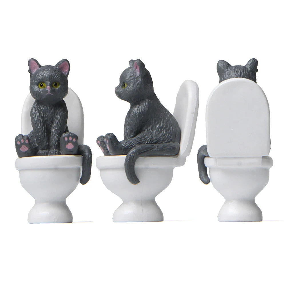 Cat Sit