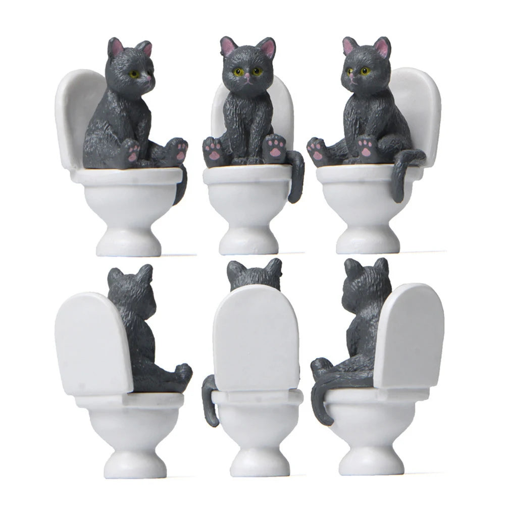 Cat Sit