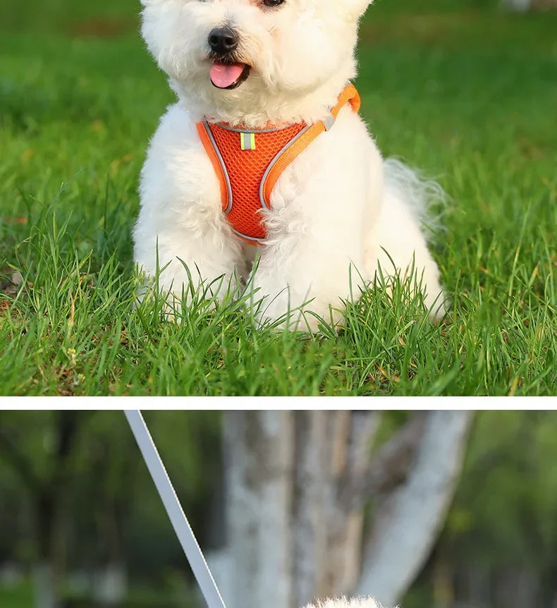 Dog Harness for All Breeds