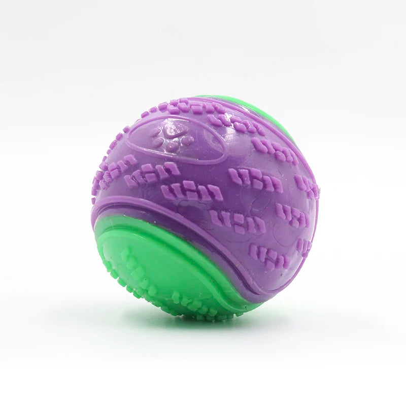 Squeaky Dog Ball
