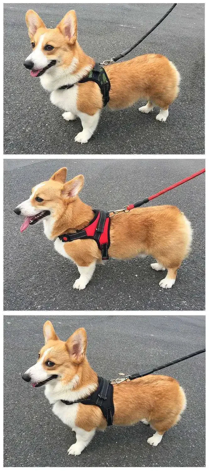 Quick-Release Adjustable Dog Harness Vest