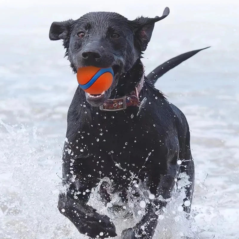 Solid Rubber Dog Fetch Ball