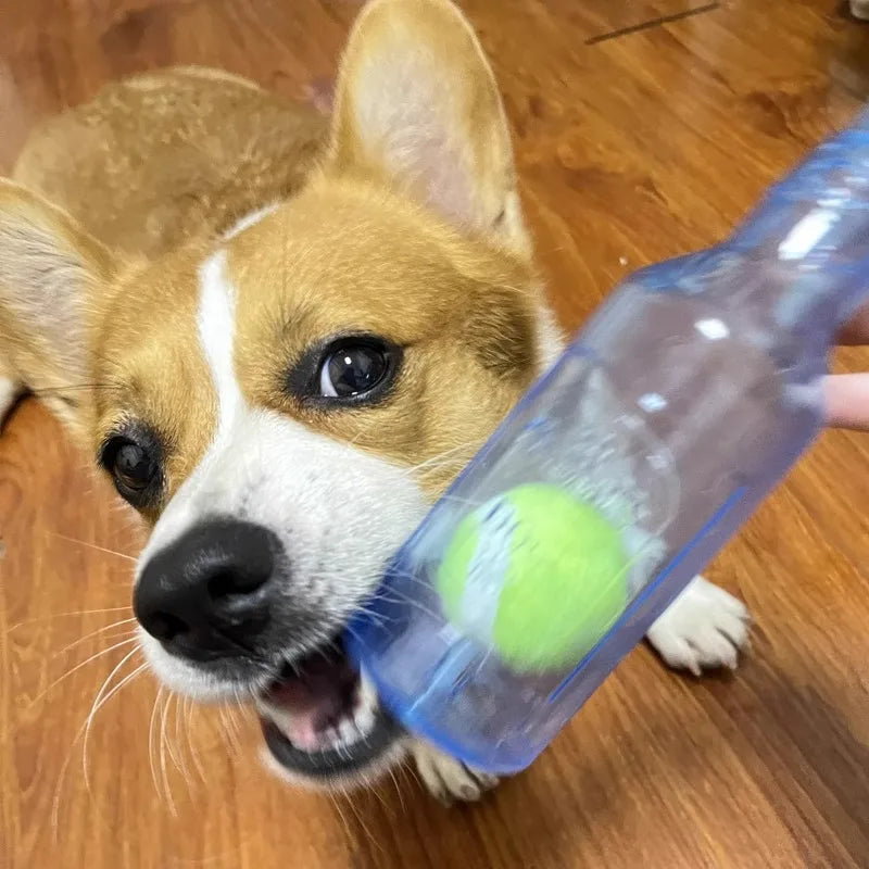 Squeaky Beer Bottle Dog Chew Toy