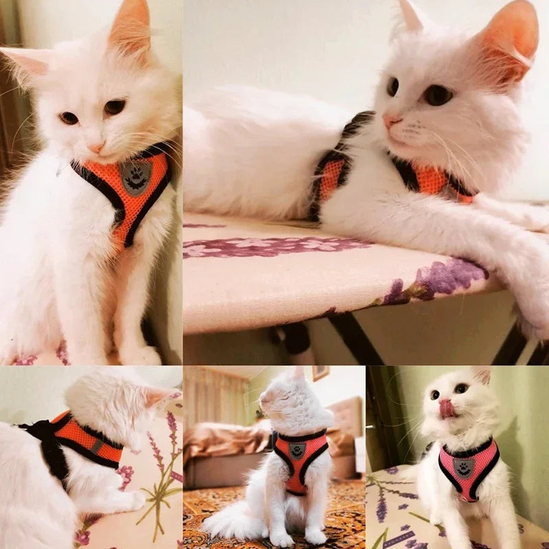 Adjustable Mesh Cat Harness with Leash