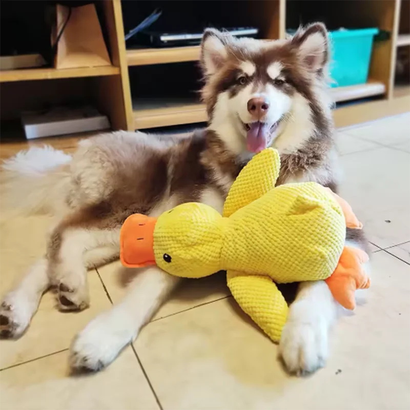 Squeaky Duck Comfort Plush Pet Toy