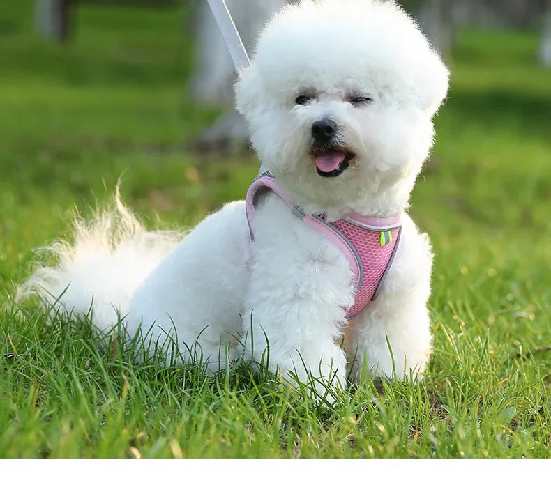 Dog Harness for All Breeds