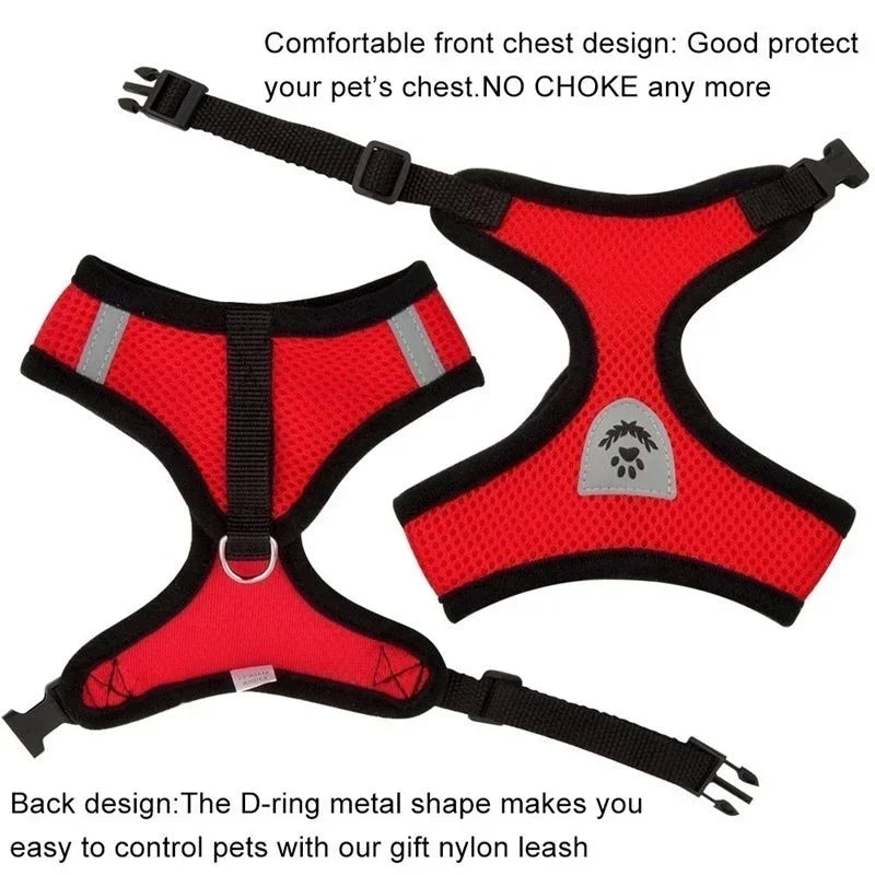 Adjustable Mesh Cat Harness with Leash