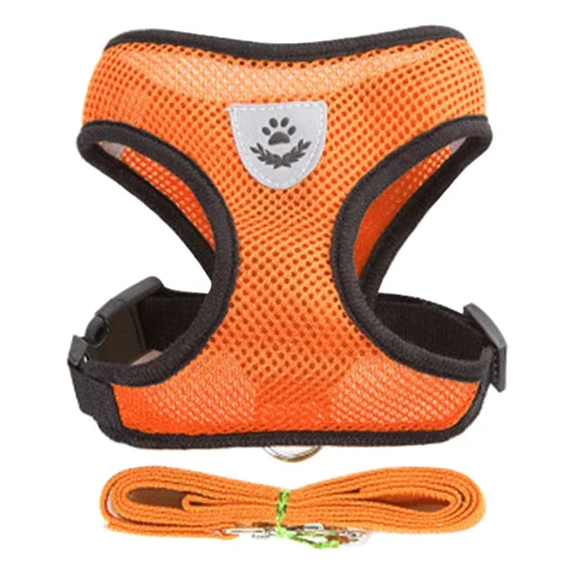Adjustable Mesh Cat Harness with Leash