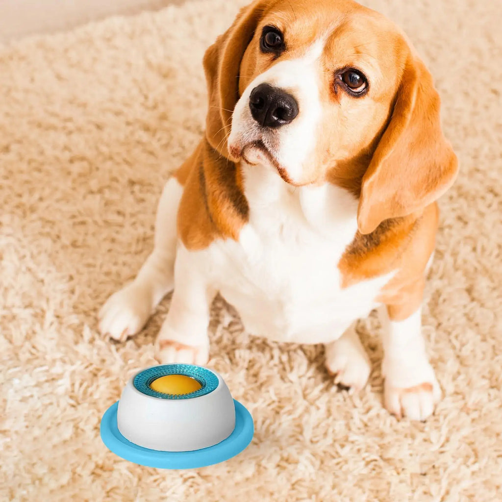 Slow Feeder Puzzle Bowl for Dogs & Cats