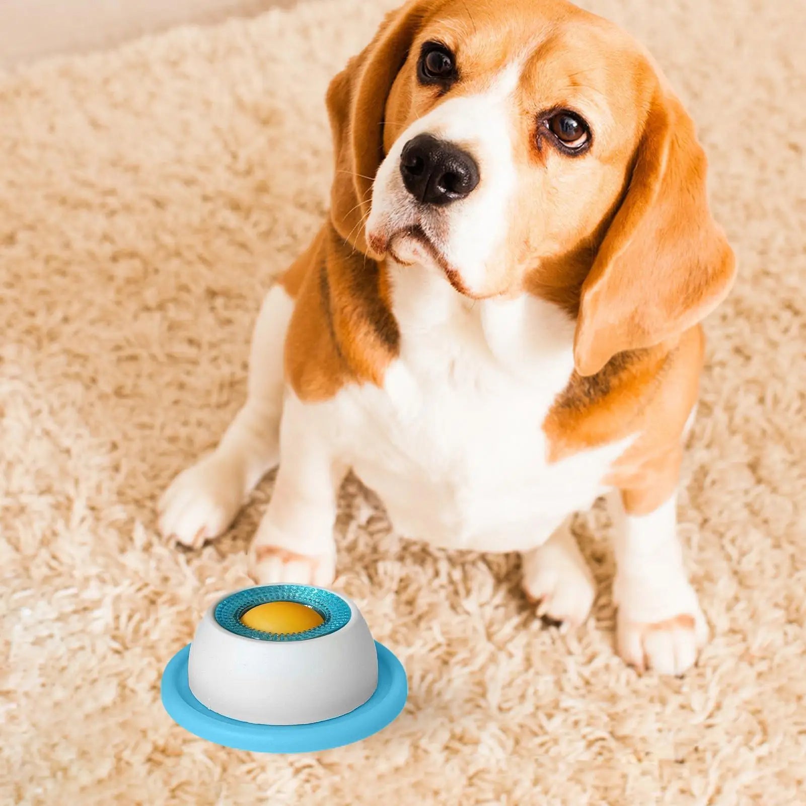 Slow Feeder Puzzle Bowl for Dogs & Cats
