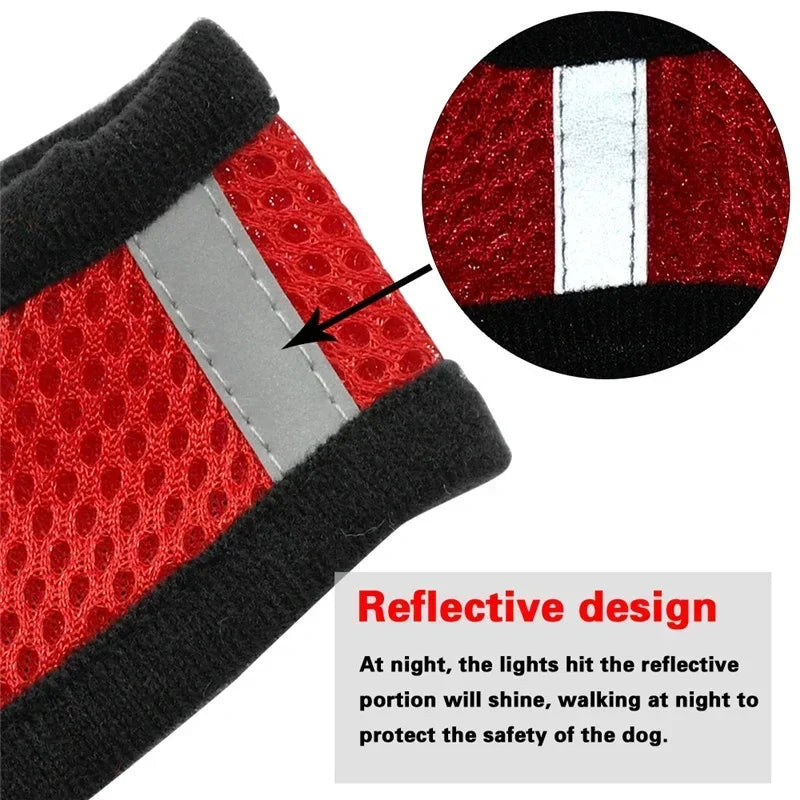 Adjustable Mesh Cat Harness with Leash