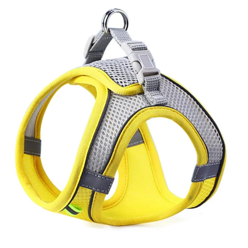 Reflective Breathable Pet Harness & Leash Set