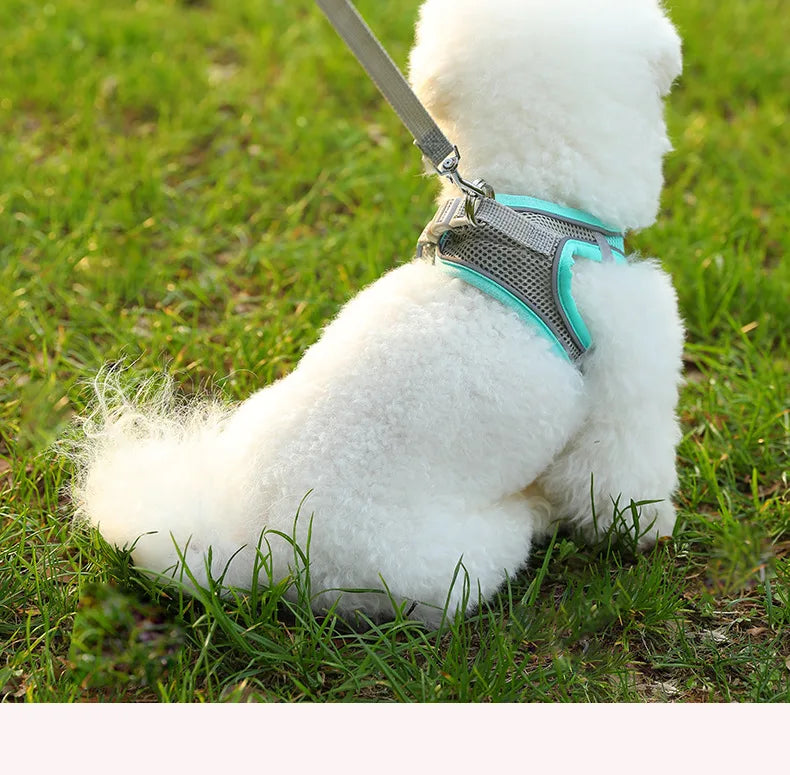Dog Harness for All Breeds