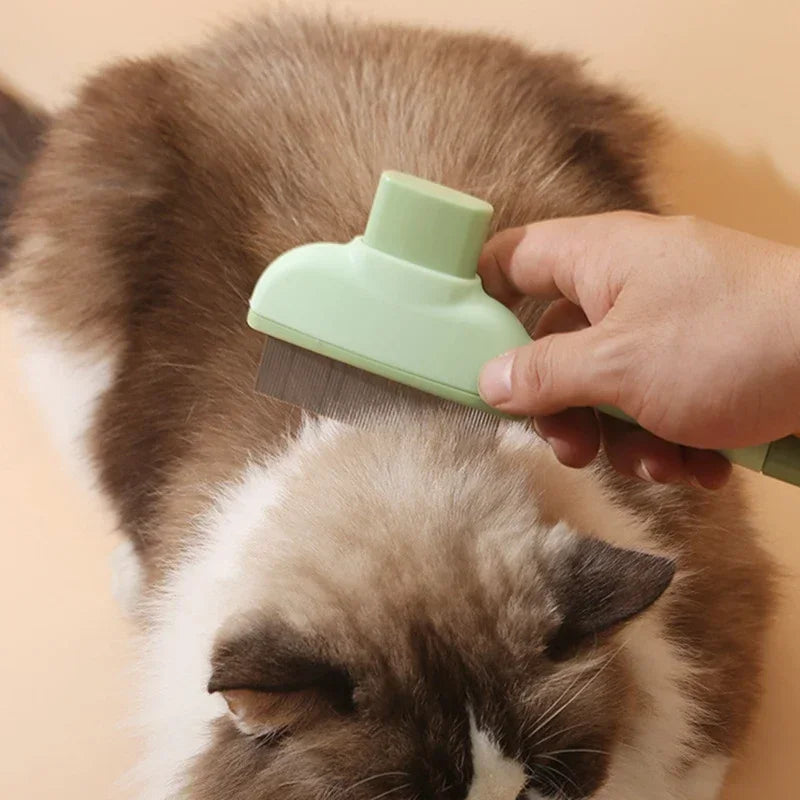 Cat Hair Brush