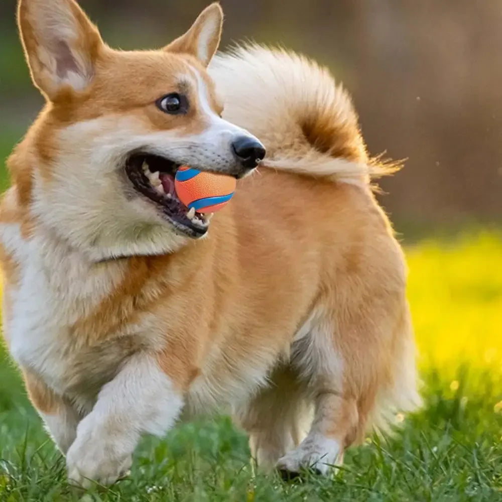 Solid Rubber Dog Fetch Ball