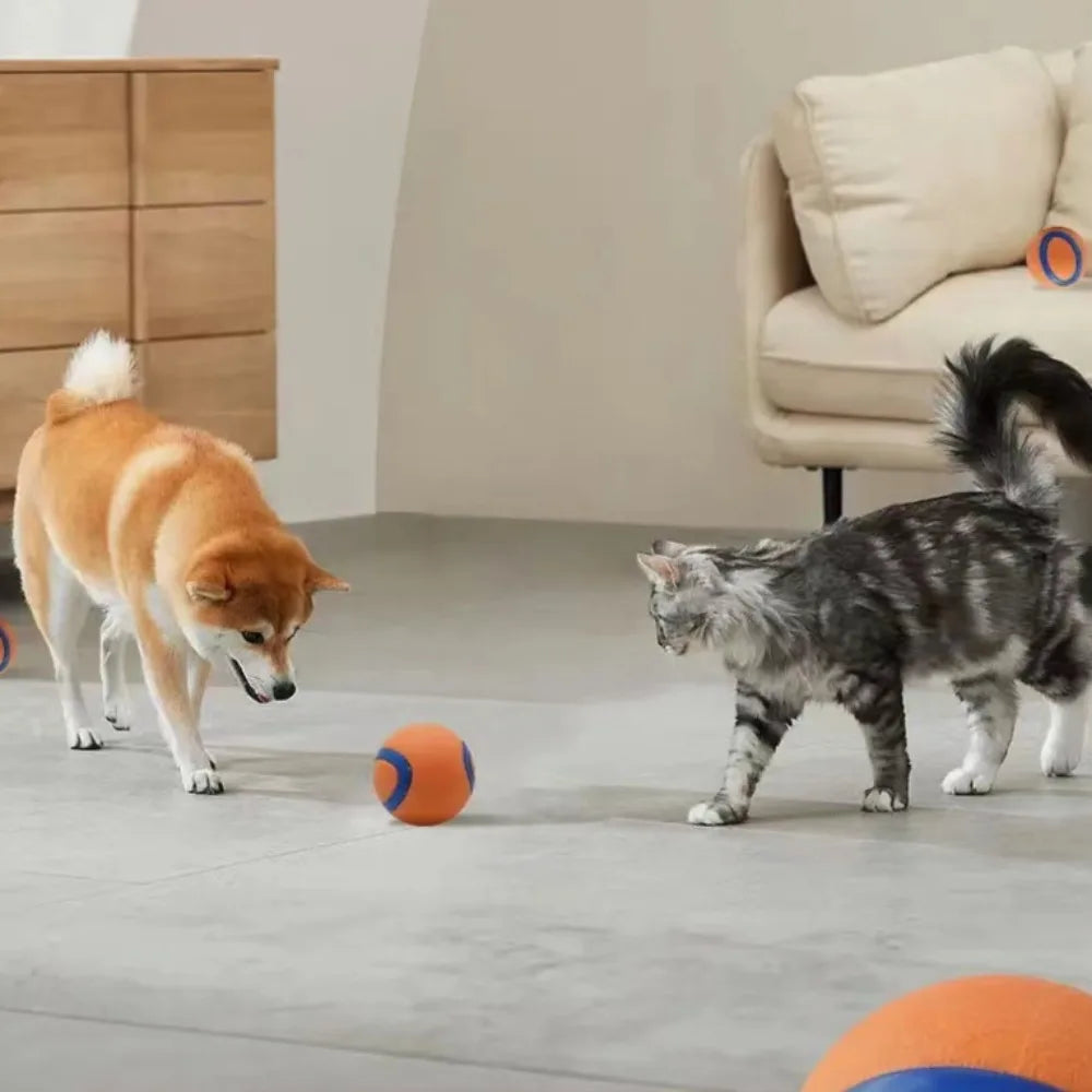 Solid Rubber Dog Fetch Ball