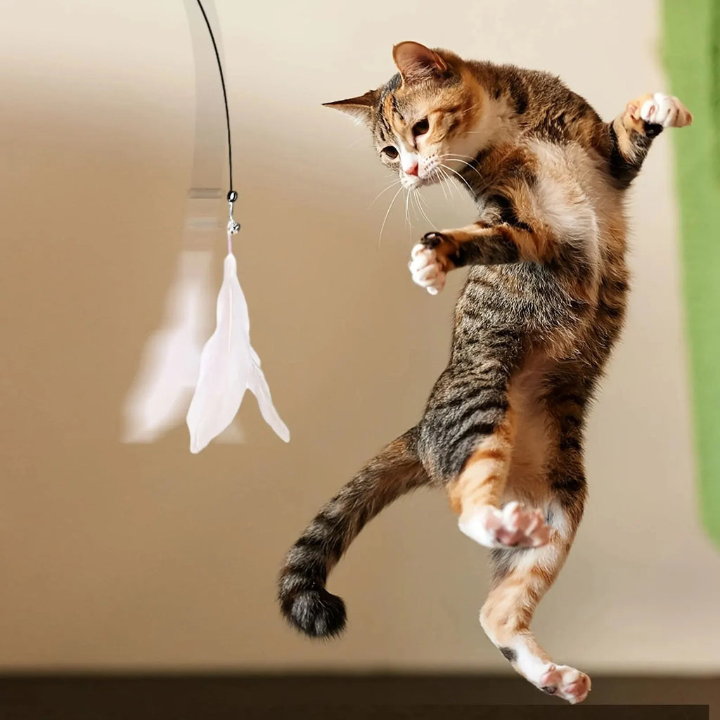 Feather Wand Cat Teaser Toy