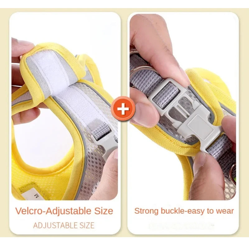Reflective Breathable Pet Harness & Leash Set