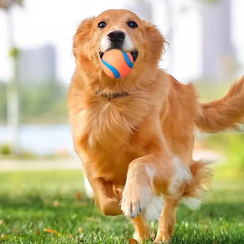Solid Rubber Dog Fetch Ball
