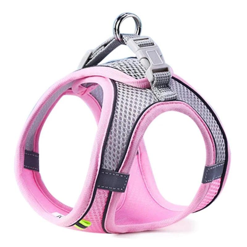 Reflective Breathable Pet Harness & Leash Set