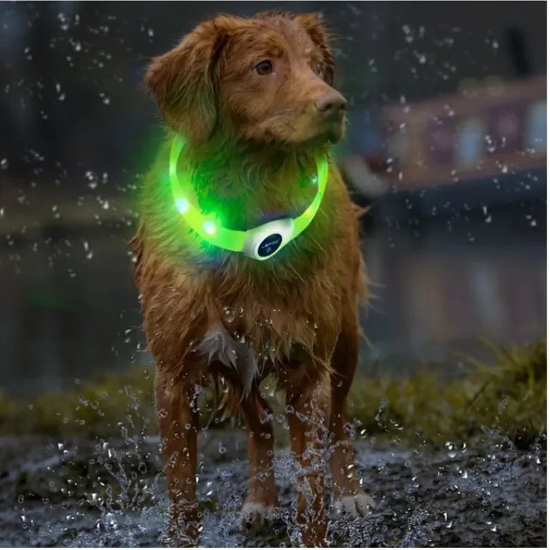 New Led Dog Collar