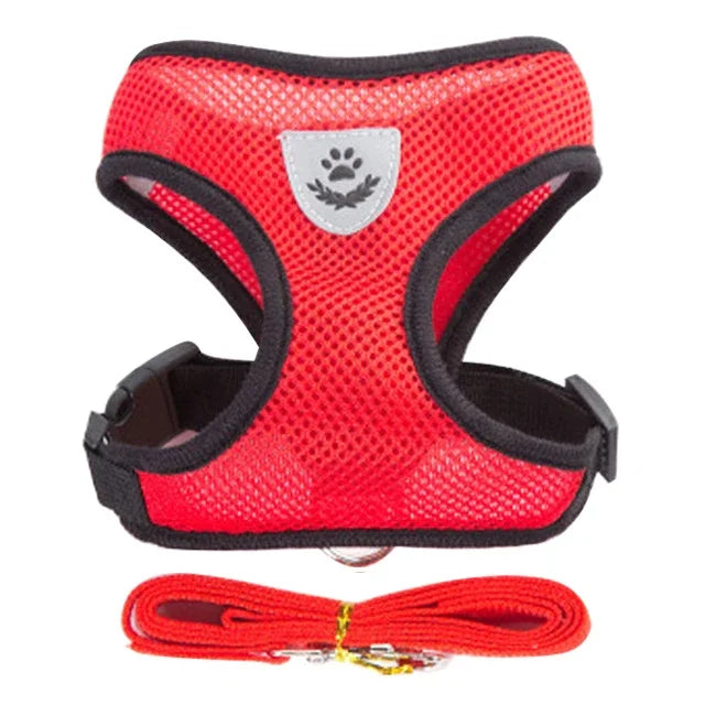 Adjustable Mesh Cat Harness with Leash