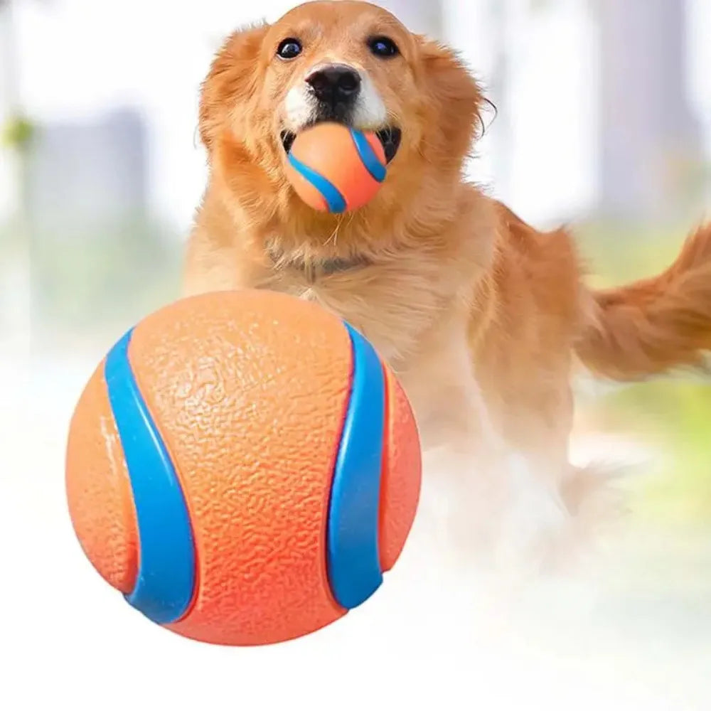Solid Rubber Dog Fetch Ball