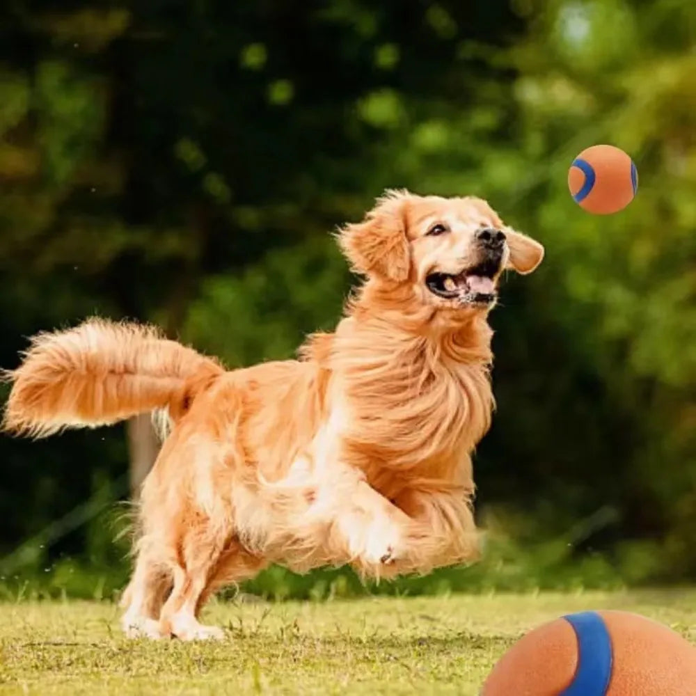 Solid Rubber Dog Fetch Ball