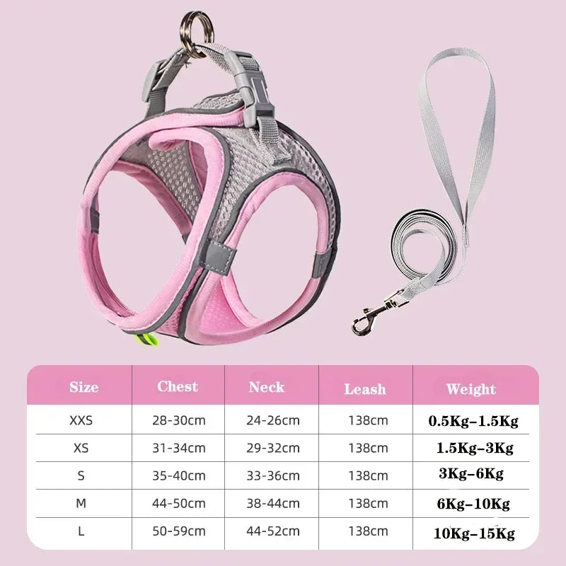 Small Dog Harness & Leash Set
