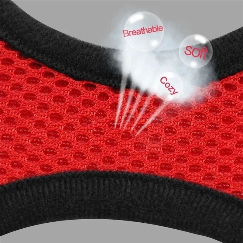 Adjustable Mesh Cat Harness with Leash
