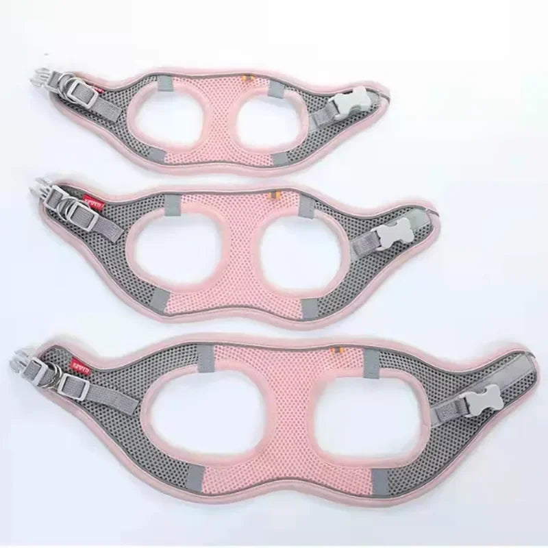 Reflective Breathable Pet Harness & Leash Set