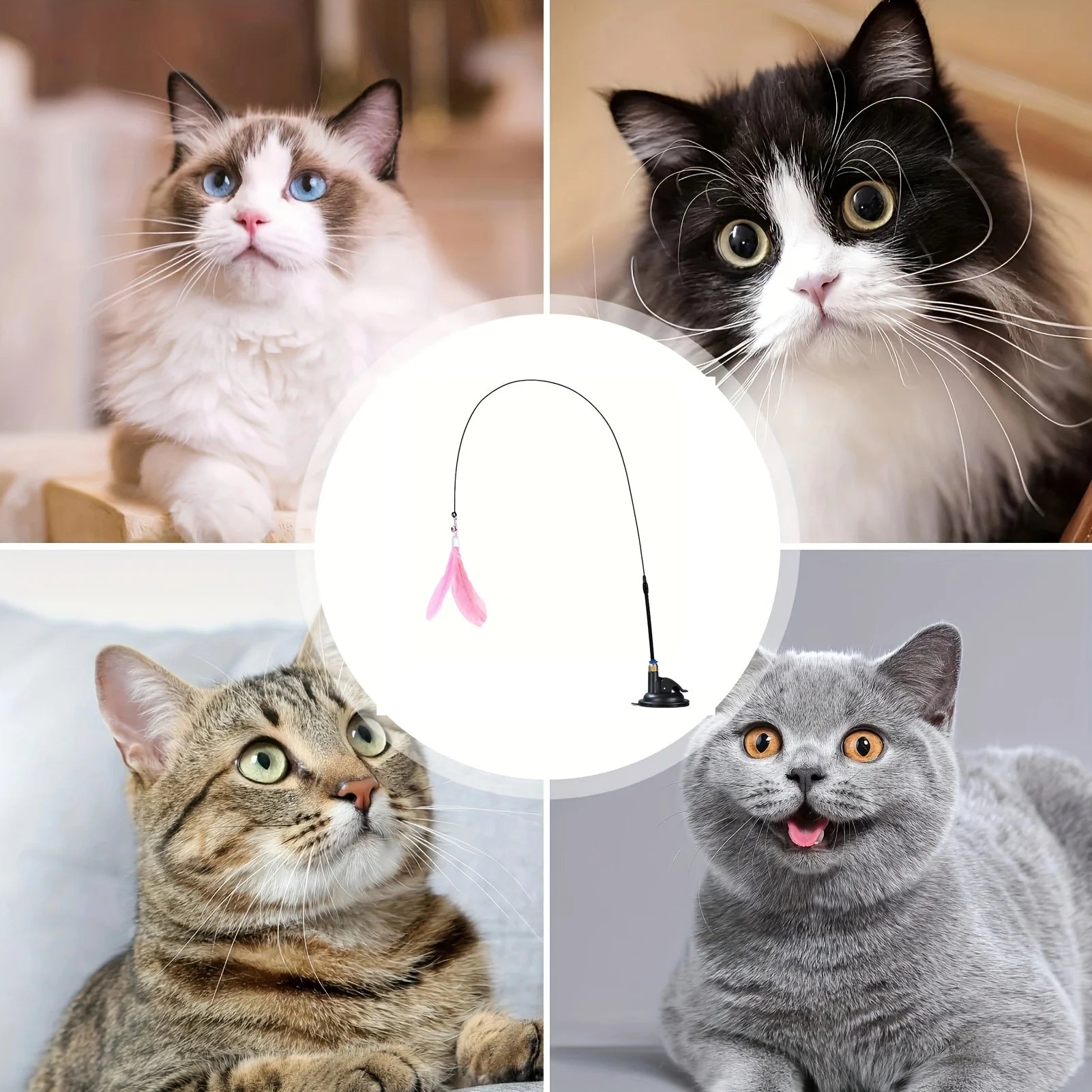 Feather Wand Cat Teaser Toy
