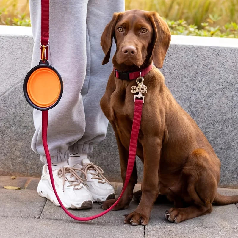 Collapsible Silicone Pet Travel Bowl