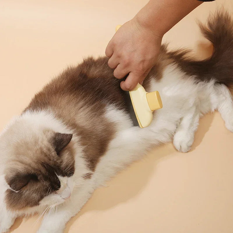 Cat Hair Brush