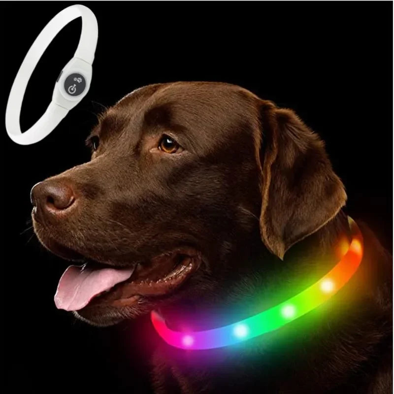 New Led Dog Collar