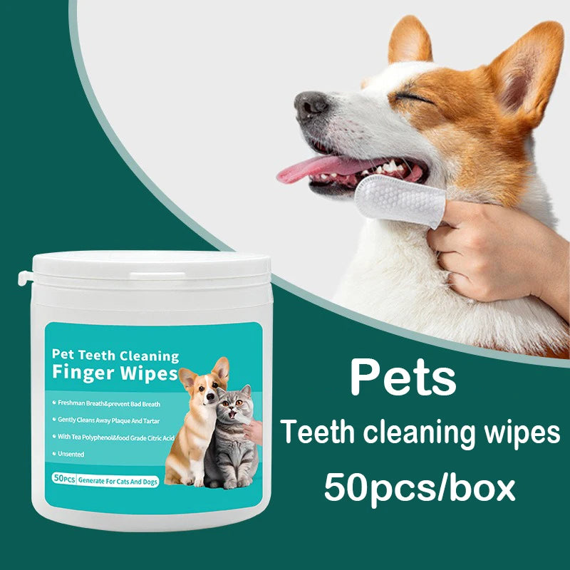 Disposable Dental Wipes