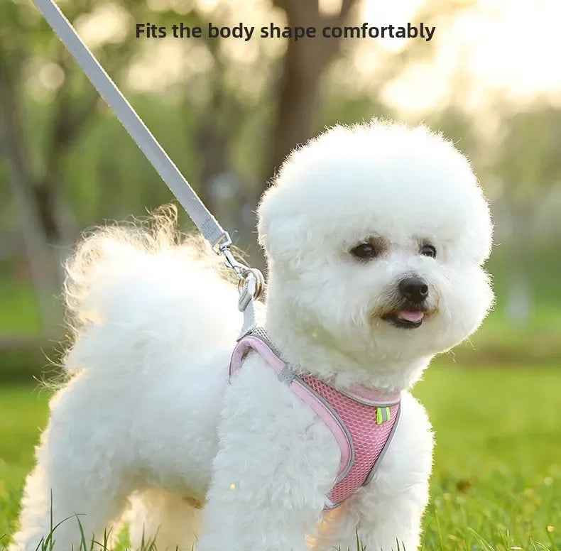 Dog Harness for All Breeds