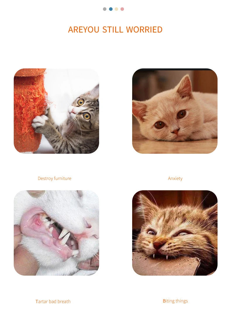 Carrot Rope Cat Chew Toy