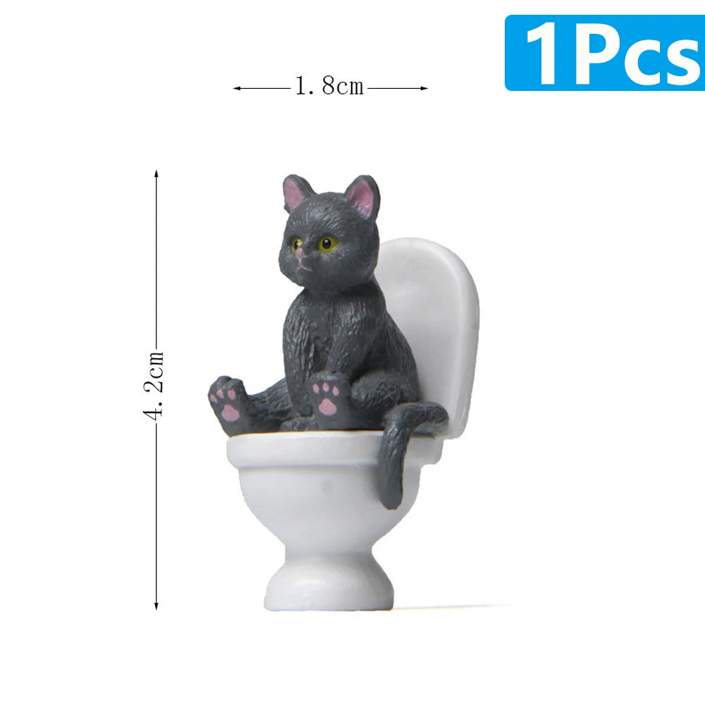 Cat Sit