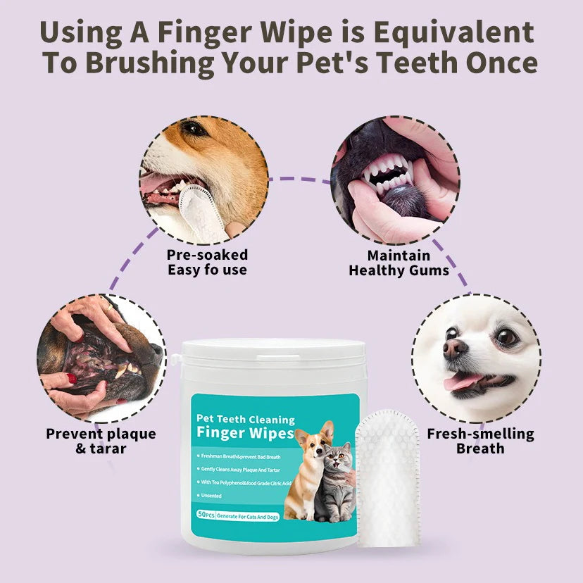 Disposable Dental Wipes