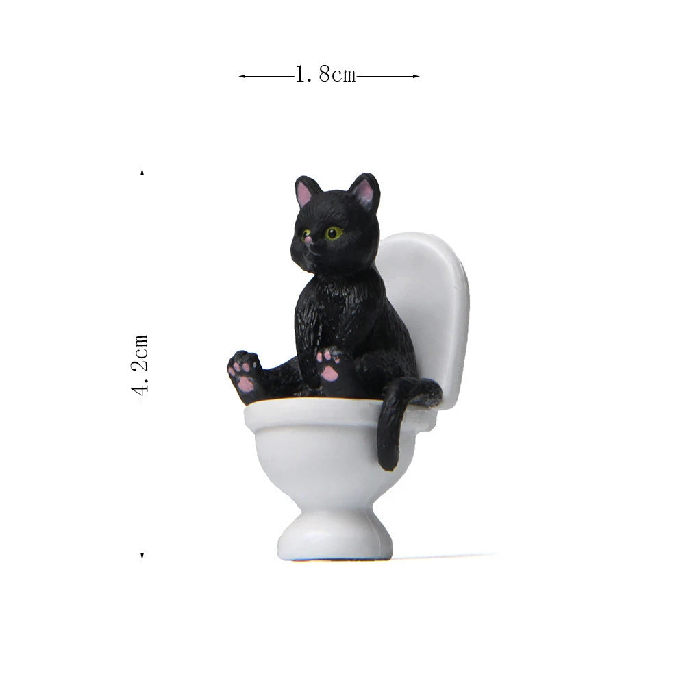 Cat Sit