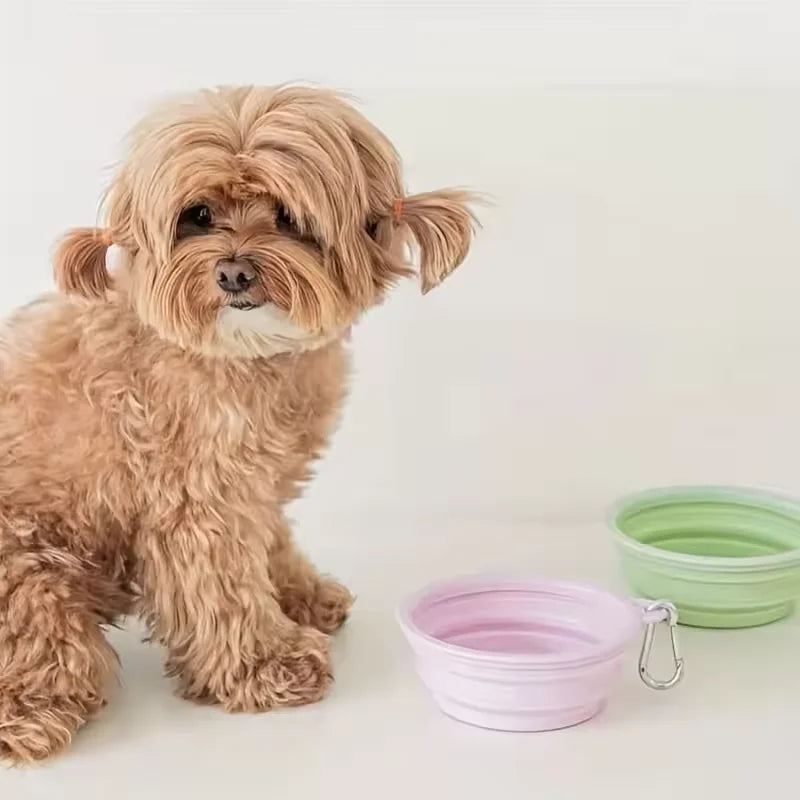 Foldable Silicone Dog & Cat Bowl