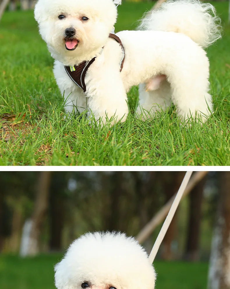 Dog Harness for All Breeds