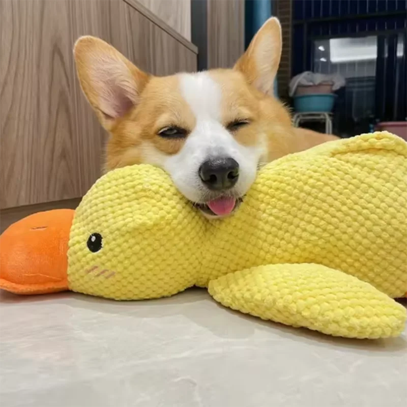 Squeaky Duck Comfort Plush Pet Toy