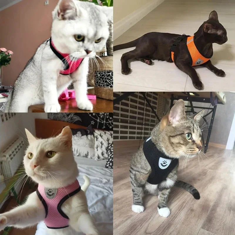Adjustable Mesh Cat Harness with Leash