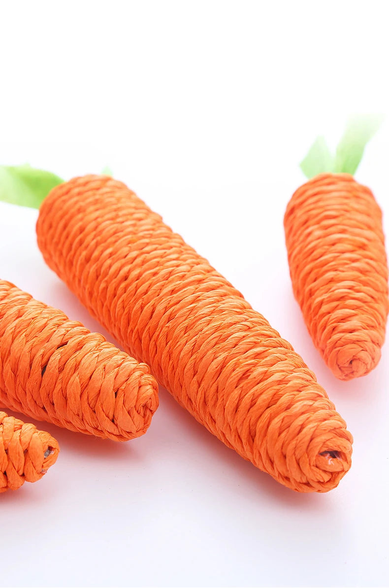 Carrot Rope Cat Chew Toy