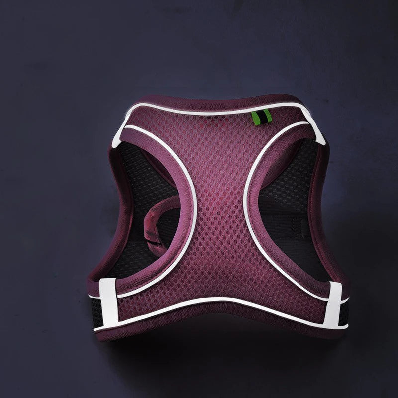 Reflective Breathable Pet Harness & Leash Set